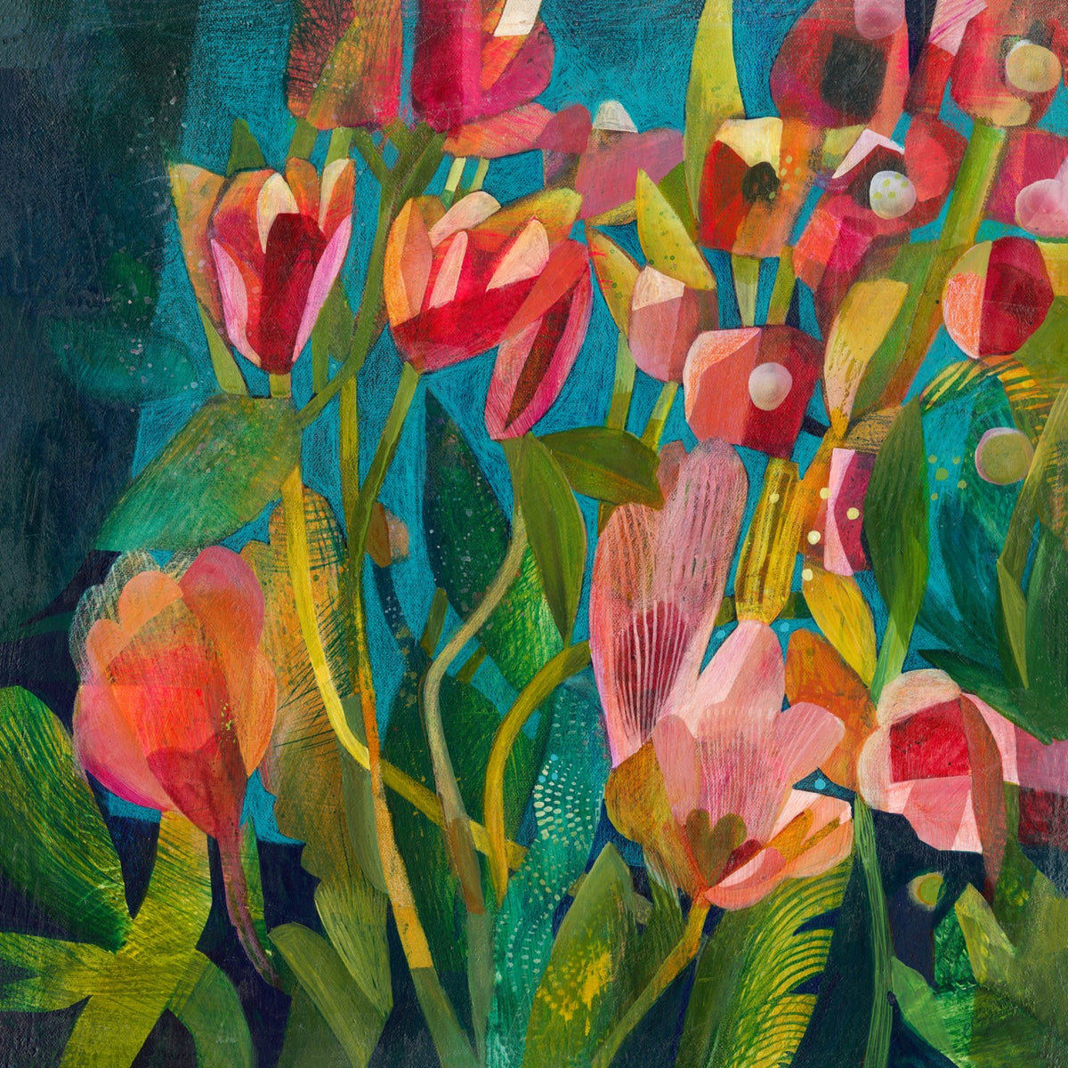 Pink Tulips