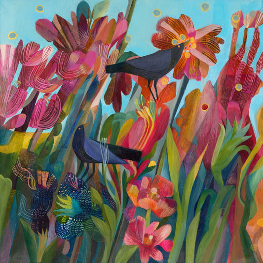 Canna Flowers
